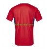Maillot de Foot Costa Rica Domicile 2023